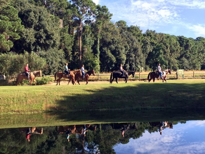 Trail Rides